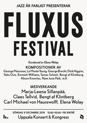 hs fluxus 2018.jpg